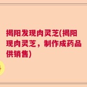 揭阳发现肉灵芝(揭阳现肉灵芝，制作成药品供销售)