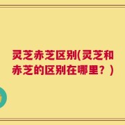 灵芝赤芝区别(灵芝和赤芝的区别在哪里？)