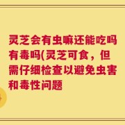 灵芝会有虫嘛还能吃吗有毒吗(灵芝可食，但需仔细检查以避免虫害和毒性问题