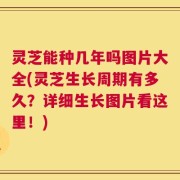 灵芝能种几年吗图片大全(灵芝生长周期有多久？详细生长图片看这里！)