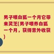 男子喂白狐一个月它带来灵芝(男子喂养白狐一个月，获得意外收获)