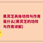 黑灵芝具体功效与作用是什么(黑灵芝的功效与作用详解)