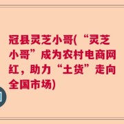 冠县灵芝小哥(“灵芝小哥”成为农村电商网红，助力“土货”走向全国市场)