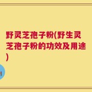 野灵芝孢子粉(野生灵芝孢子粉的功效及用途)