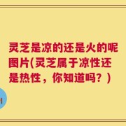 灵芝是凉的还是火的呢图片(灵芝属于凉性还是热性，你知道吗？)