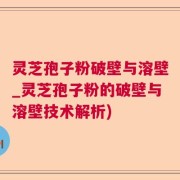 灵芝孢子粉破壁与溶壁_灵芝孢子粉的破壁与溶壁技术解析)