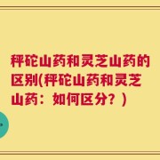 秤砣山药和灵芝山药的区别(秤砣山药和灵芝山药：如何区分？)