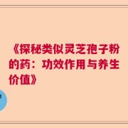 《探秘类似灵芝孢子粉的药：功效作用与养生价值》