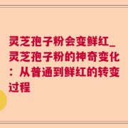 灵芝孢子粉会变鲜红_灵芝孢子粉的神奇变化：从普通到鲜红的转变过程
