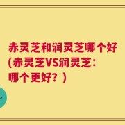 赤灵芝和润灵芝哪个好(赤灵芝VS润灵芝：哪个更好？)