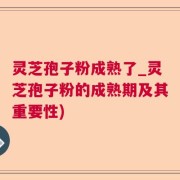 灵芝孢子粉成熟了_灵芝孢子粉的成熟期及其重要性)