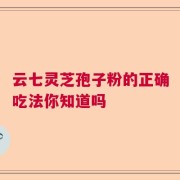 云七灵芝孢子粉的正确吃法你知道吗