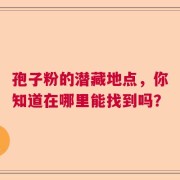 孢子粉的潜藏地点，你知道在哪里能找到吗？