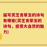 描写灵芝青草玉的诗句有哪些(灵芝青草玉的诗句，感受大自然的魅力)