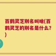 百鹤灵芝别名叫啥(百鹤灵芝的别名是什么？)