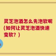 灵芝泡酒怎么先泡软呢(如何让灵芝泡酒快速变软？)