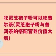 吃灵芝孢子粉可以吃普尔茶(灵芝孢子粉与普洱茶的搭配营养价值大增)