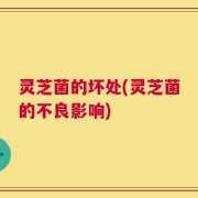 灵芝菌的坏处(灵芝菌的不良影响)