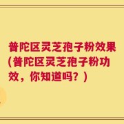 普陀区灵芝孢子粉效果(普陀区灵芝孢子粉功效，你知道吗？)