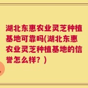 湖北东惠农业灵芝种植基地可靠吗(湖北东惠农业灵芝种植基地的信誉怎么样？)
