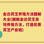 金边灵芝养殖方法图解大全(图解金边灵芝高效养殖方法，打造优质灵芝产业链)