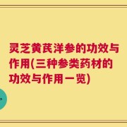 灵芝黄芪洋参的功效与作用(三种参类药材的功效与作用一览)