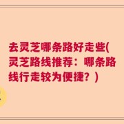 去灵芝哪条路好走些(灵芝路线推荐：哪条路线行走较为便捷？)