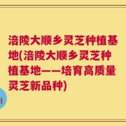 涪陵大顺乡灵芝种植基地(涪陵大顺乡灵芝种植基地——培育高质量灵芝新品种)