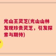 光山王灵芝(光山山林发现珍贵灵芝，引发探索与期待)