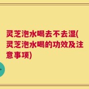 灵芝泡水喝去不去湿(灵芝泡水喝的功效及注意事项)