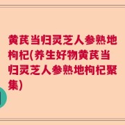 黄芪当归灵芝人参熟地枸杞(养生好物黄芪当归灵芝人参熟地枸杞聚集)