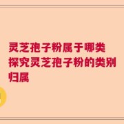 灵芝孢子粉属于哪类 探究灵芝孢子粉的类别归属