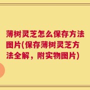 薄树灵芝怎么保存方法图片(保存薄树灵芝方法全解，附实物图片)