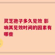 灵芝孢子多久见效 影响其见效时间的因素有哪些