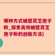哪种方式破壁灵芝孢子粉_探索高效破壁灵芝孢子粉的创新方法)