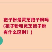 孢子粉是灵芝孢子粉吗(孢子粉和灵芝孢子粉有什么区别？)