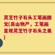 灵芝竹子石头工笔画图文(高山物产，工笔画呈现灵芝竹子石头之美)