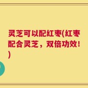 灵芝可以配红枣(红枣配合灵芝，双倍功效！)