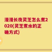 漫漫长夜灵芝怎么煮2020(灵芝煮水的正确方式)