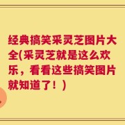 经典搞笑采灵芝图片大全(采灵芝就是这么欢乐，看看这些搞笑图片就知道了！)