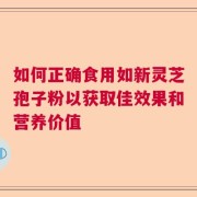 如何正确食用如新灵芝孢子粉以获取佳效果和营养价值