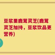 豆浆里鹿茸灵芝(鹿茸灵芝加持，豆浆饮品更营养)