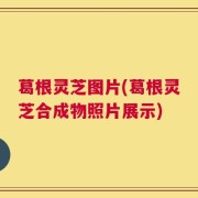 葛根灵芝图片(葛根灵芝合成物照片展示)