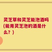 灵芝草和灵芝能泡酒吗(能用灵芝泡的酒是什么？)