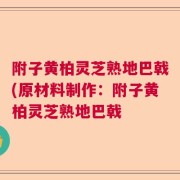 附子黄柏灵芝熟地巴戟(原材料制作:附子黄柏灵芝熟地巴戟