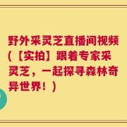 野外采灵芝直播间视频(【实拍】跟着专家采灵芝，一起探寻森林奇异世界！)