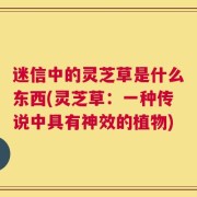 迷信中的灵芝草是什么东西(灵芝草：一种传说中具有神效的植物)