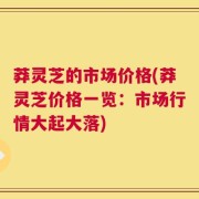 莽灵芝的市场价格(莽灵芝价格一览：市场行情大起大落)