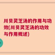 川贝灵芝汤的作用与功效(川贝灵芝汤的功效与作用概述)