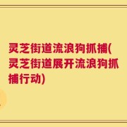 灵芝街道流浪狗抓捕(灵芝街道展开流浪狗抓捕行动)